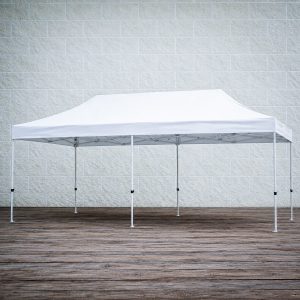 Carpa 3X6 EasyUp